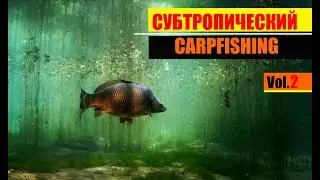 Субтропический карпфишинг в Краснодарском крае, озеро Барановское, Сочи | vol.2
