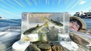 거꾸로 바다어항 만들기!