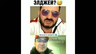 прикольные видео смотреть развлечение