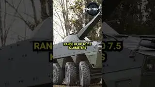 Twin Barrel Advanced Mortar System (AMOS) 
