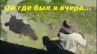 Австралийские сюрпризы
