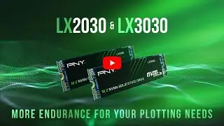 PNY LX Seires SSD - Optimized for Plotting