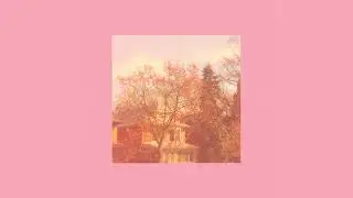pink autumn (audio)