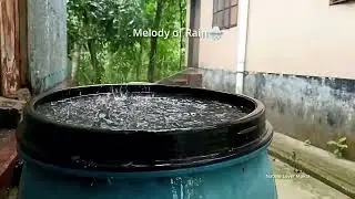 বৃষ্টির শব্দ | Raw melody of Rain 🌧️