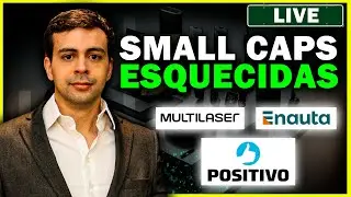 SMALL CAPS ESQUECIDAS: RESULTADOS AÇÕES - POSI3, MLAS3, ENAT3