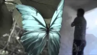 Evolución Sufi  (Created with @Magisto)