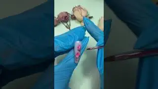 Роспись ногтей.