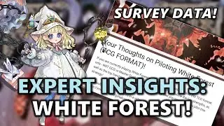 White Forest Survey Responses! Strengths, Best Hand Traps & Side Deck Options, How to Beat Post INFO