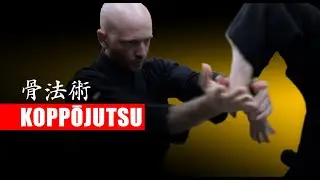 ✅ This is not Koppōjutsu - 骨法術