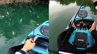 PESCA de RÍO en KAYAKS