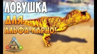 Приручение Spirit Дино и ловушка для Альфа Карнотавра! - Ark Survival Evolved AfterLife #8