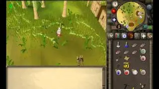 Runescape 2007 clue scroll anagram - Got a boy