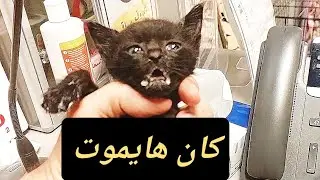 كان هايشرق ويموت بسبب استعجاله ولحقناه في آخر لحظة