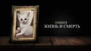 как я лишился любимой кошки