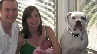 720p.mov