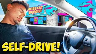 Letting My Tesla Decides what I eat for 24 Hours! (AUTO PILOT)