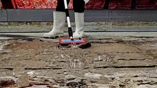 Unbelievable Carpet Transformation: ASMR Cleaning That Will Mesmerize You! | Speeded Up