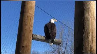 2021-03 - Ecomuseum