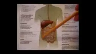 Питание человека - скрытые факты(Сыроедение) ч.1.mp4