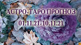 АСТРО-ТАРО прогноз 01.11.21- 10.11.21 для всех знаков зодиака