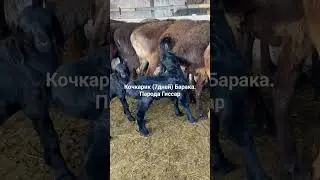 10 февраля 2024 г.