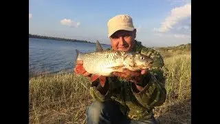 Рыбалка на реке Волге Ловля Донными Снастями Голавль