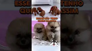 24 de julho de 2024