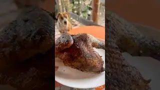 Подстава с курицей 🤣