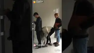 Funny people doing stupid