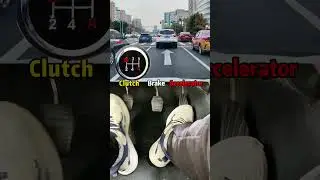 Watch the video and learn to drive a manual car very easily!#driving #tips #howto #skills #car