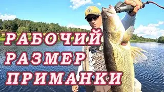 Какой РАЗМЕР ПРИМАНКИ лучше ЛОВИТ! Жаркая погода не даёт рыбе клевать.
