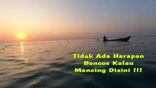 Cuma Disini !!! Hanya Di Spot Ini Mancing Ikan Baronang Paling Gampang