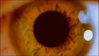 Dear Agony - Blink Of An Eye (Official Lyric Video)