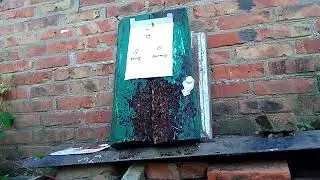 Мурка на 10м шмелями и люманами.