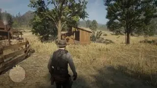Red Dead Redemption 2_2024