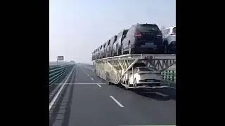 15 ноября 2023 г.