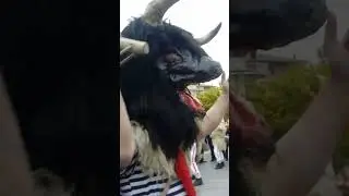 Sfilata di carnevale a Isernia delle maschere Zoomorfie 👺 👹 ❤