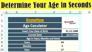 Age Calculator in Excel: How to Calculate Age from Date of Birth
