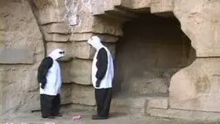 Sexy Panda (AKA Mating Season)