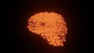 A Human Brain
