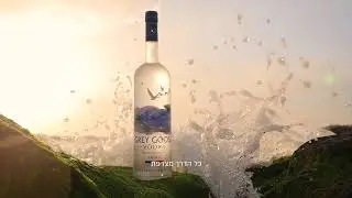 Grey Goose Israel - Fly Beyond