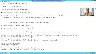 16 - Basics of SAP and ABAP - SAP Specific Objects and Customer Specific Objects