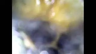 Внутри улья.