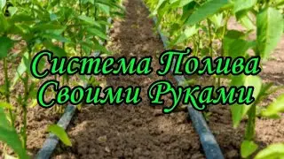 Система полива Своими руками