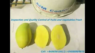Fruits quality control and certification