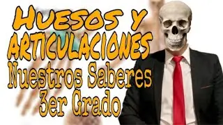 Los HUESOS y las ARTICULACIONES | NUESTRO SABERES | 3° Grado | Primaria | Profe Del Valle