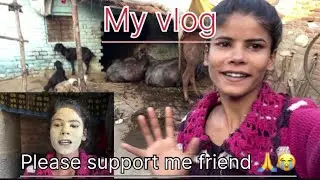 My  Vlog Hello frand maine please 🙏 support me @Kapilsagarvilogs ￼ #shortvideo  #shorts