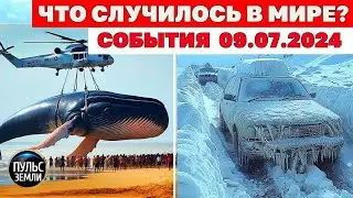 Катаклизмы за день 9 ИЮЛЯ 2024! Пульс Земли! новости сегодня наводнение ураган град события дня