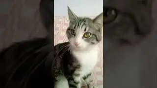 сколько лет вам если прибавить 10?