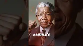 Nelson Mandela: a Hero or a Villain.